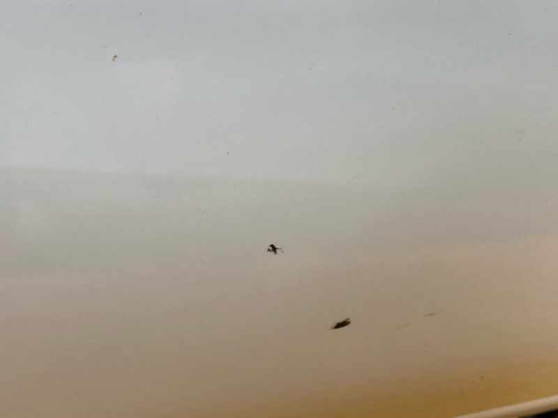 бампер, 22000 рублей, Красноярск