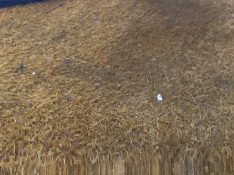 бампер, 24000 рублей, Красноярск