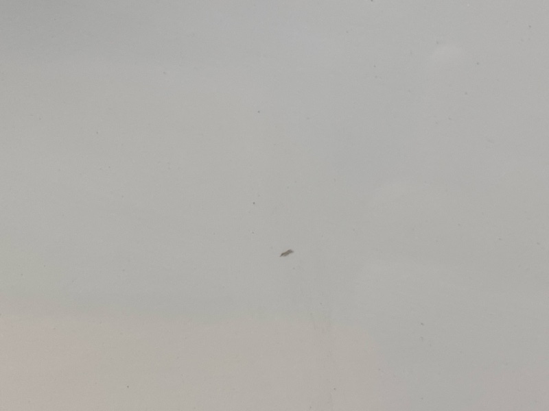 капот, 18000 рублей, Красноярск