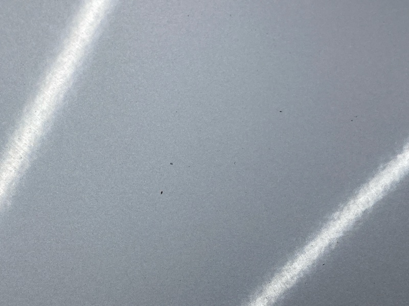 капот, 29000 рублей, Красноярск