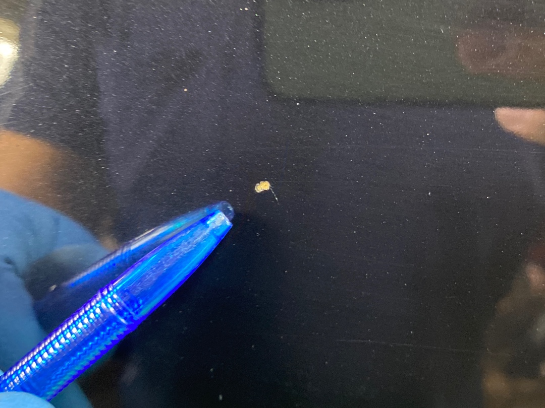 Дверь, 2250 рублей, Красноярск