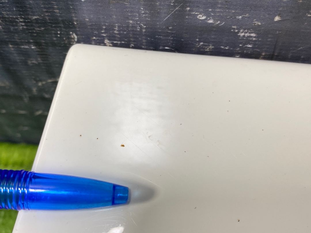 Накладка на крыло, 1200 рублей, Красноярск