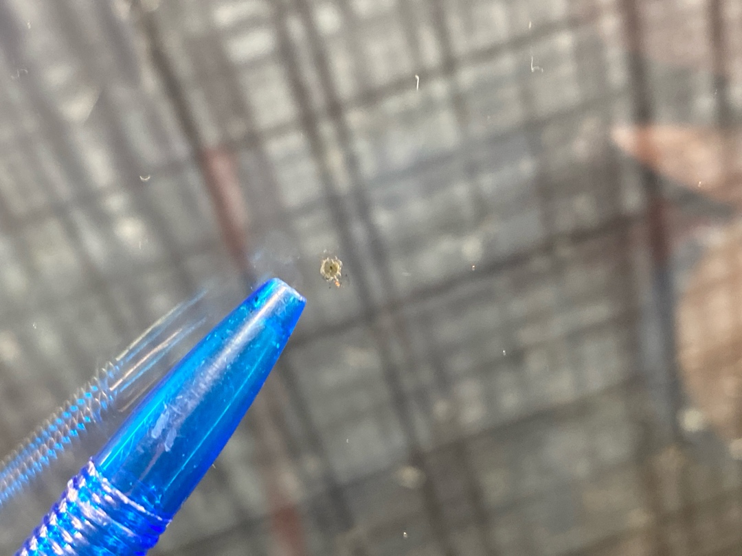 Стекло лобовое, 7392 рублей, Красноярск