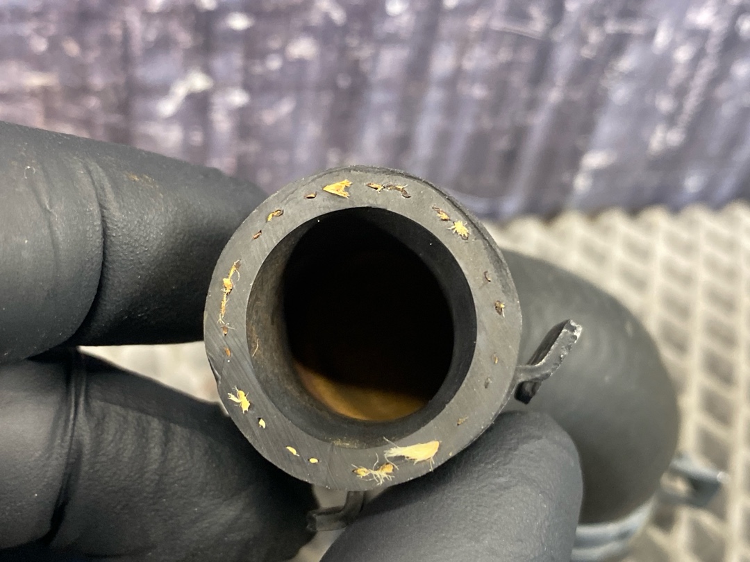 Шланг системы охлаждения, 402 рублей, Красноярск