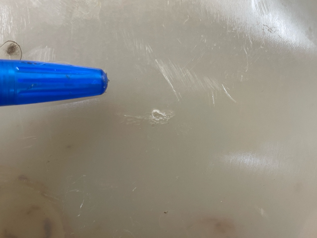 Бачок расширительный, 1710 рублей, Красноярск