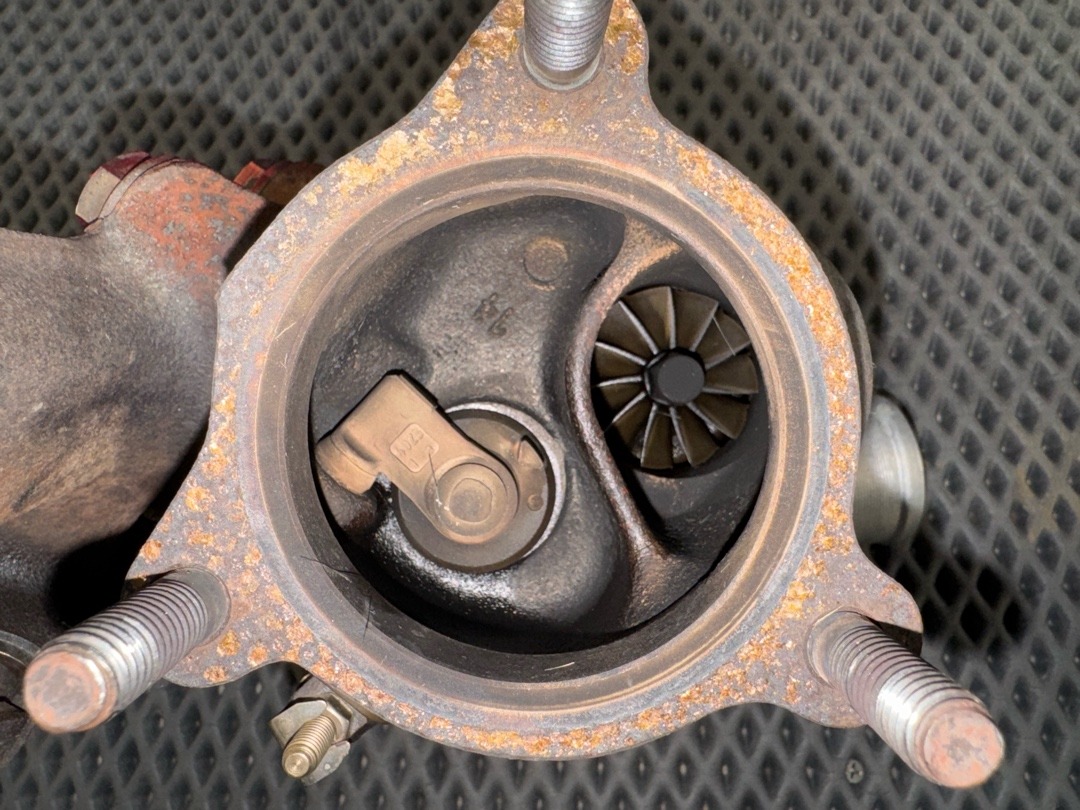 Турбина, 24920 рублей, Красноярск