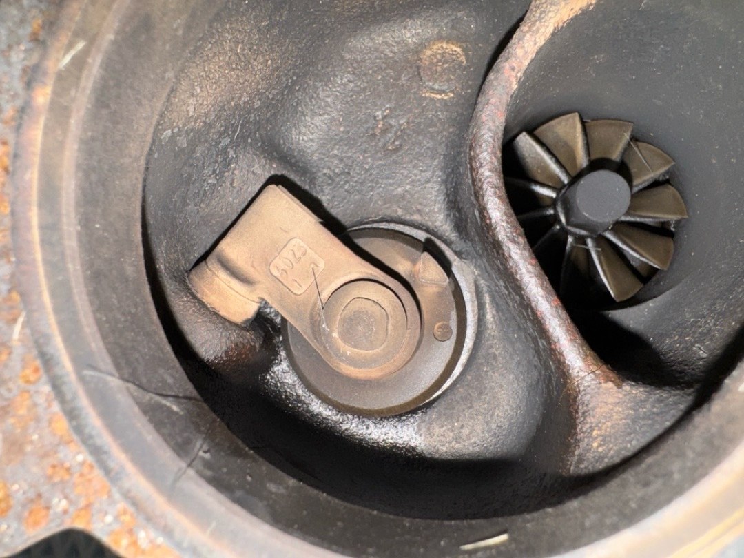 Турбина, 24920 рублей, Красноярск