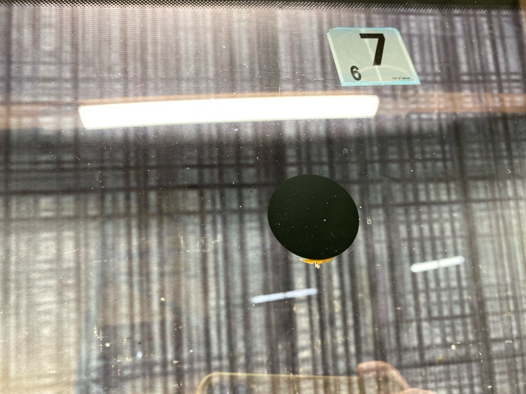 Стекло лобовое, 7583 рублей, Красноярск