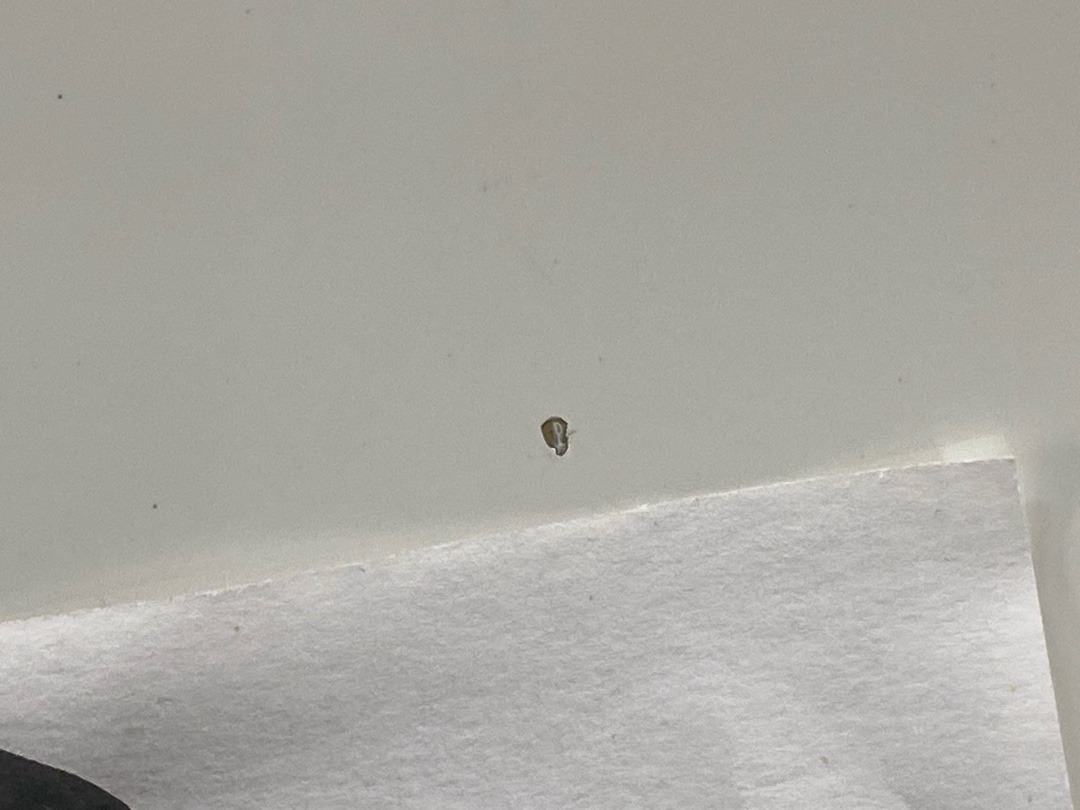 Дверь, 25280 рублей, Красноярск