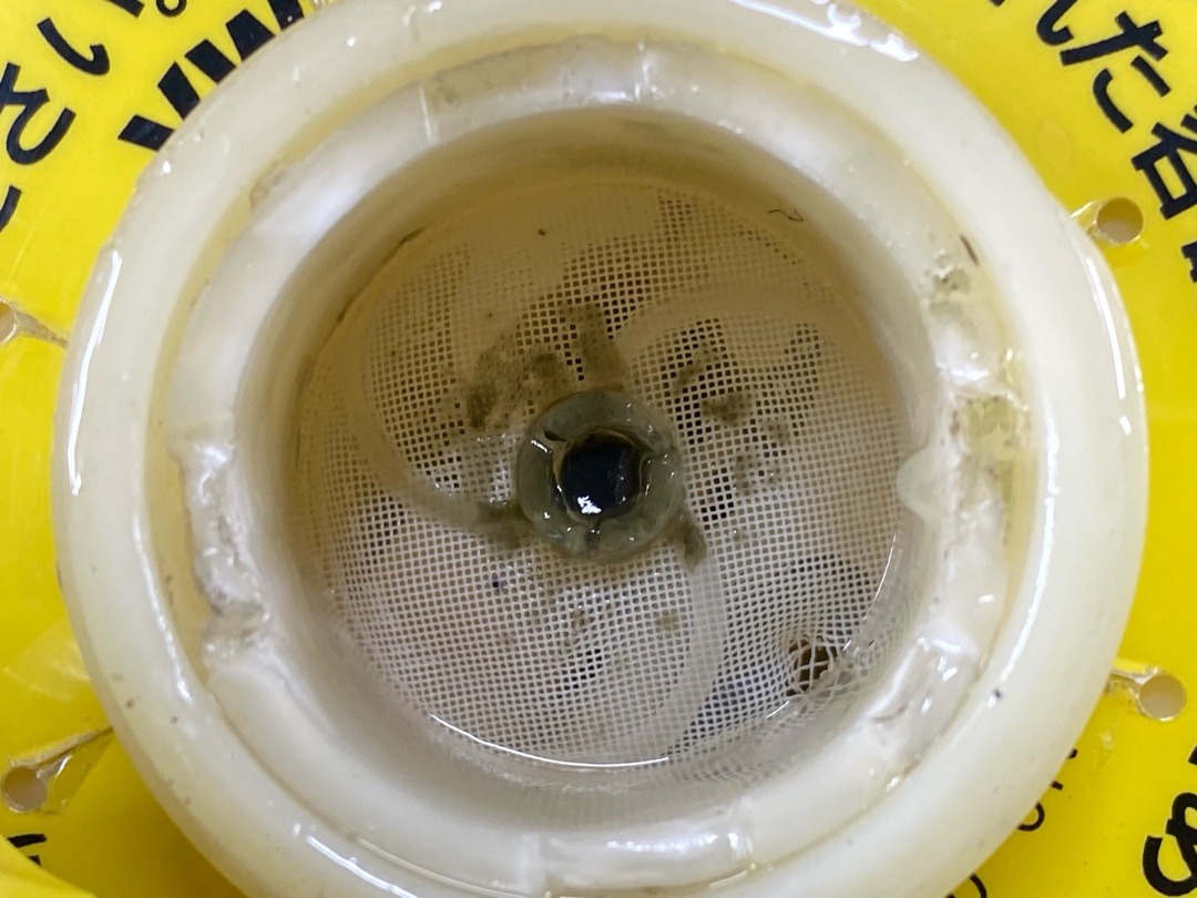 Вакуумный усилитель, 5420 рублей, Красноярск