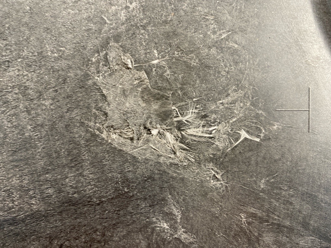 Защита днища, 1080 рублей, Красноярск