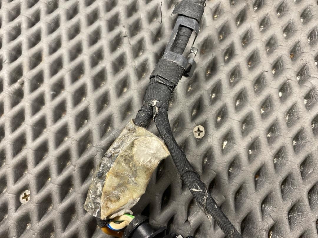 Проводка бампера, 2460 рублей, Красноярск