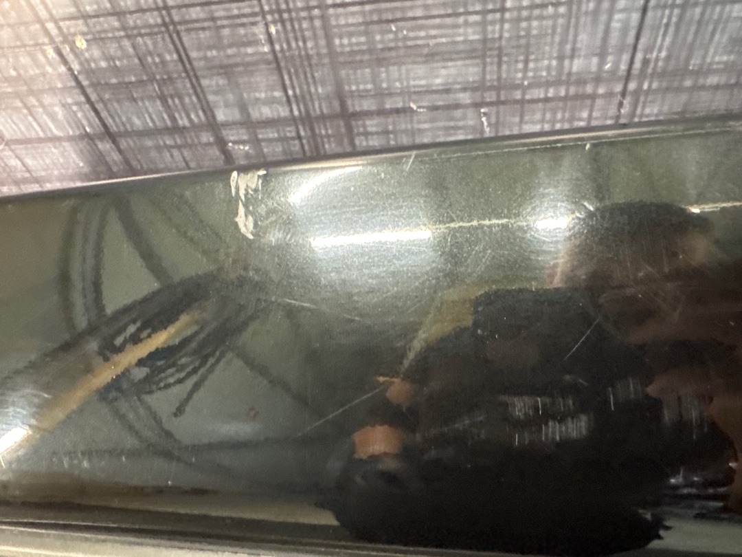 Бампер, 12360 рублей, Красноярск