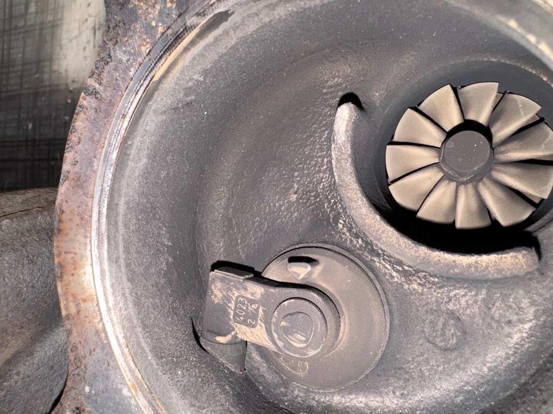 Турбина, 28740 рублей, Красноярск