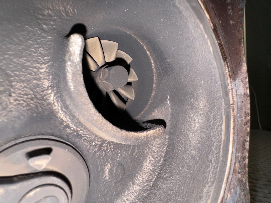 Турбина, 28740 рублей, Красноярск