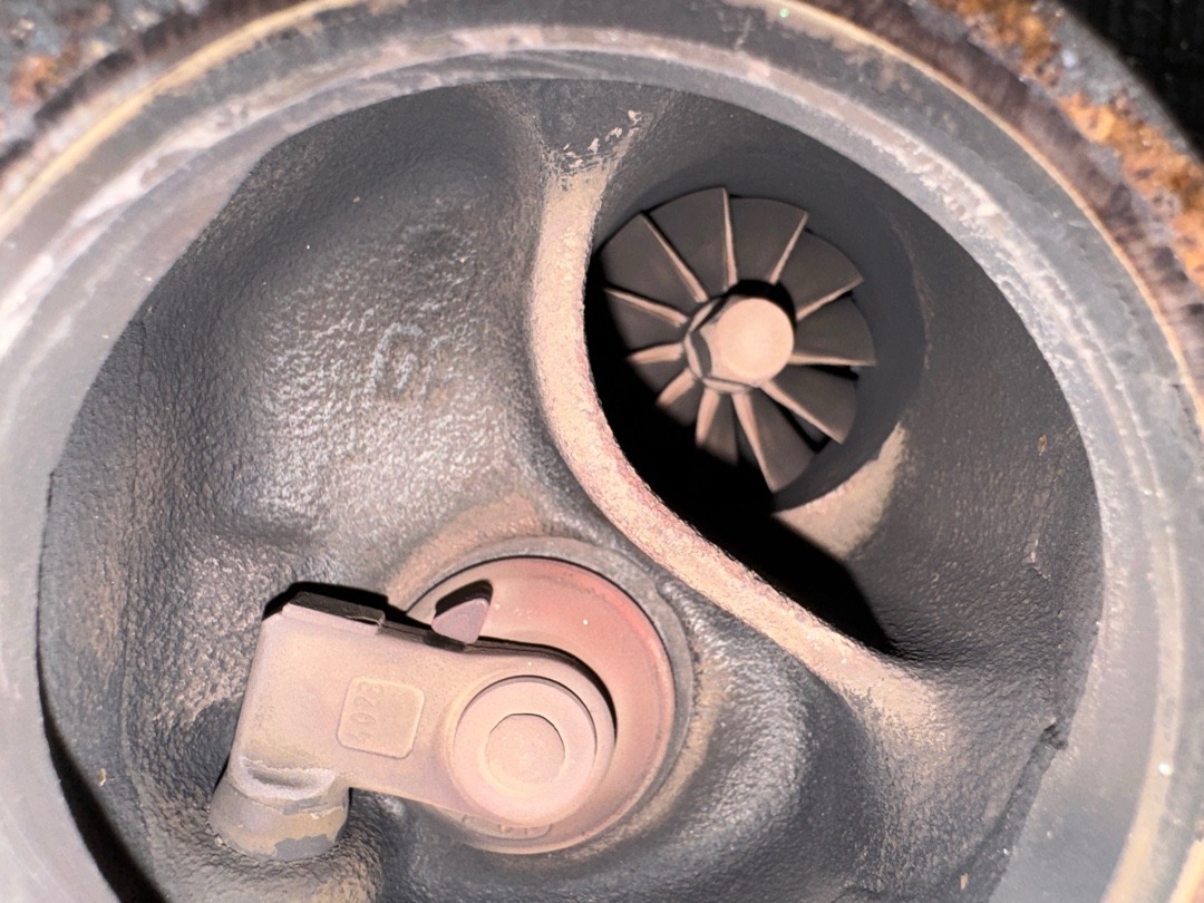 Турбина, 27440 рублей, Красноярск