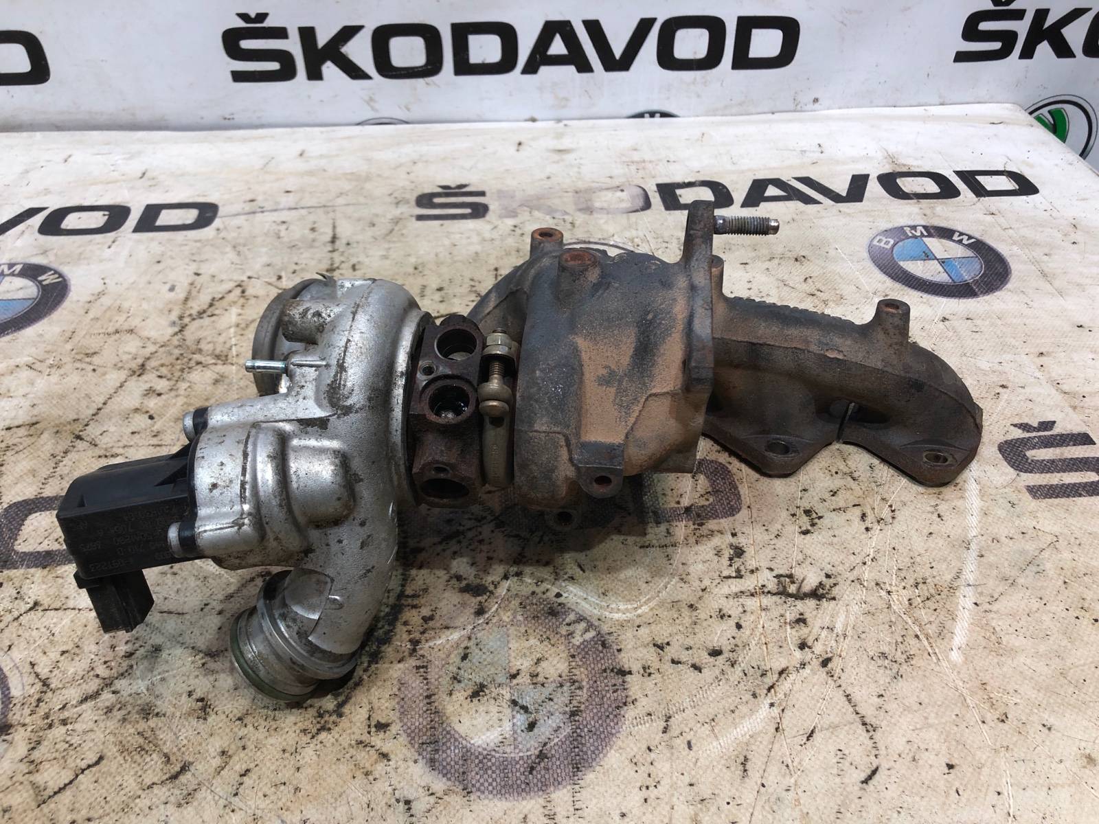 Турбина, 10000 рублей, Москва