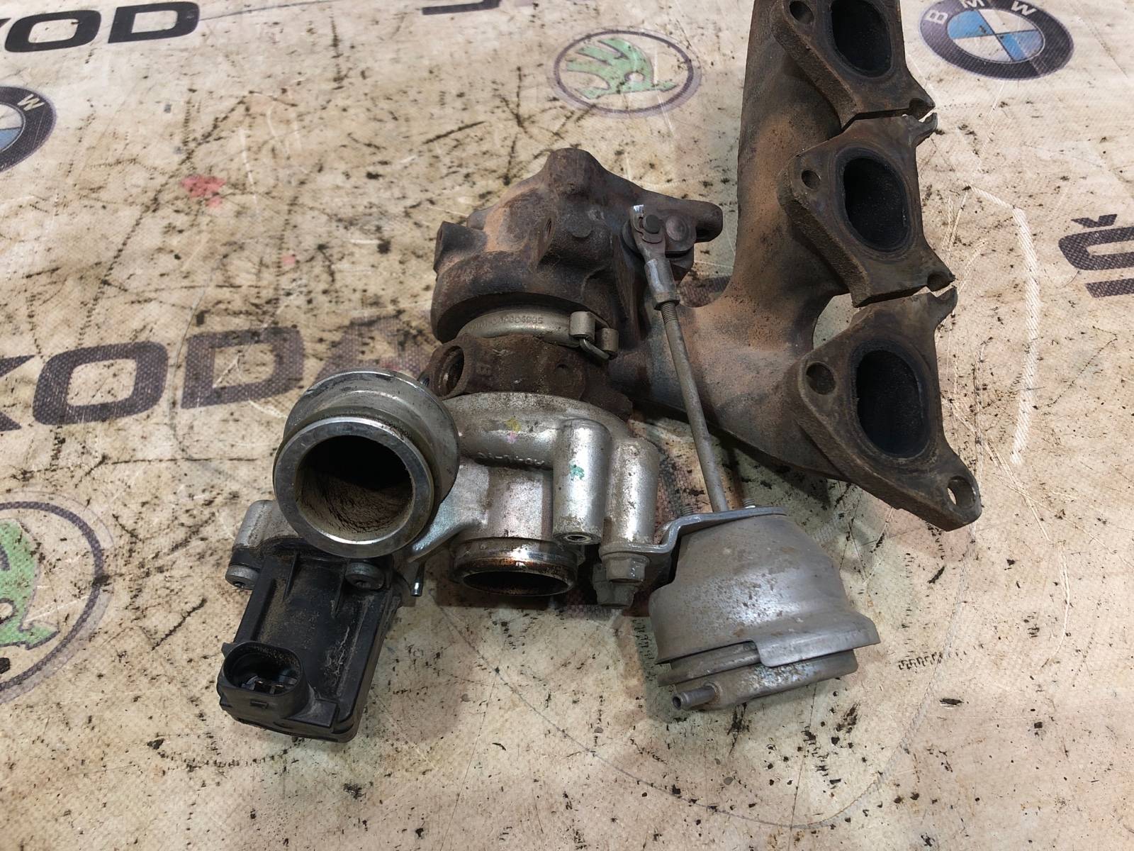 Турбина, 10000 рублей, Москва