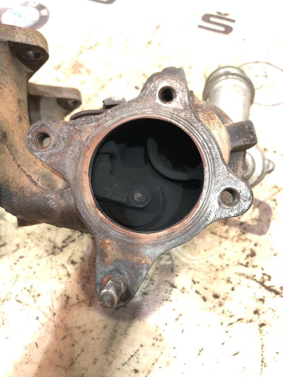 Турбина, 10000 рублей, Москва