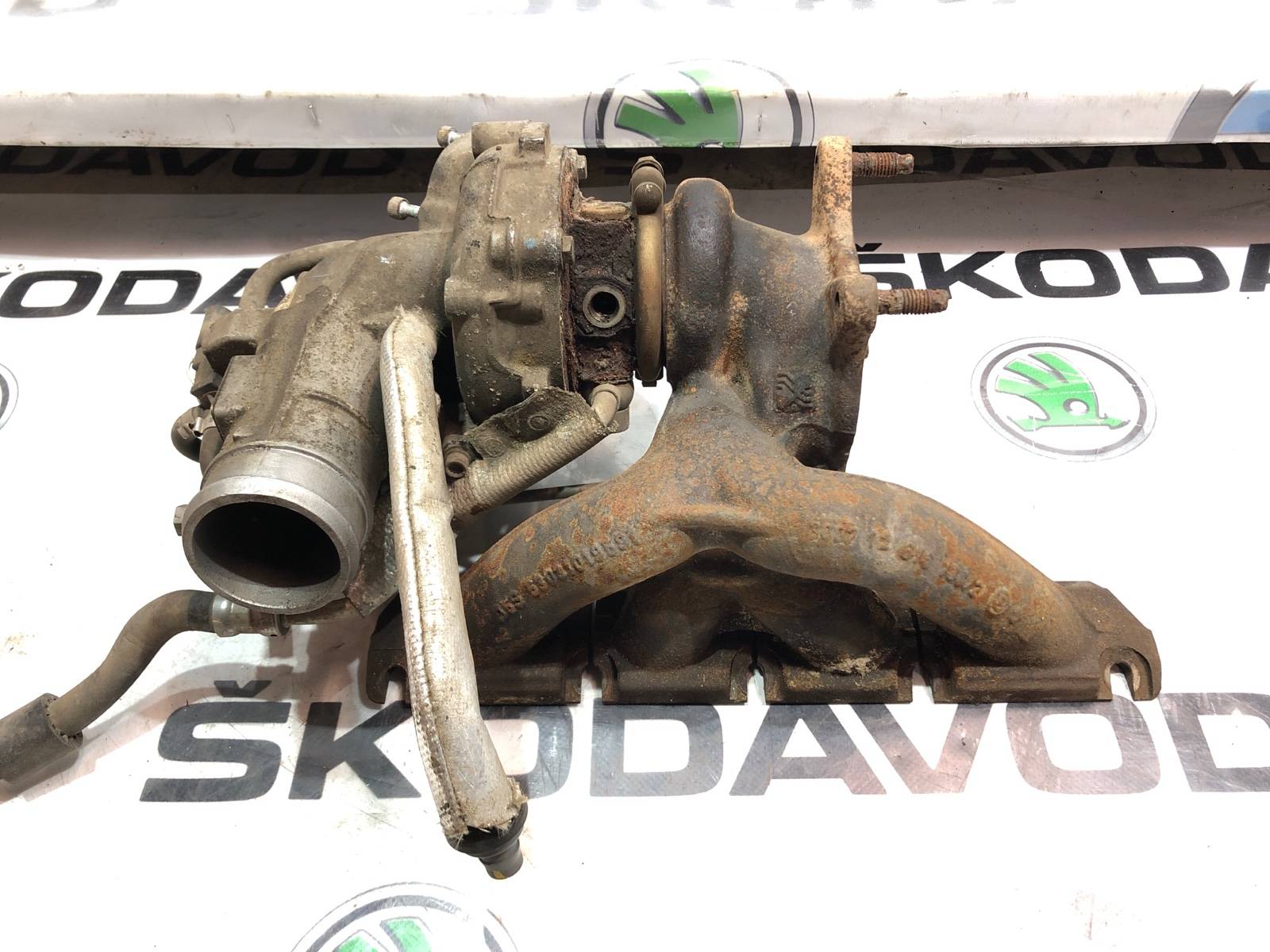 Турбина, 10000 рублей, Москва