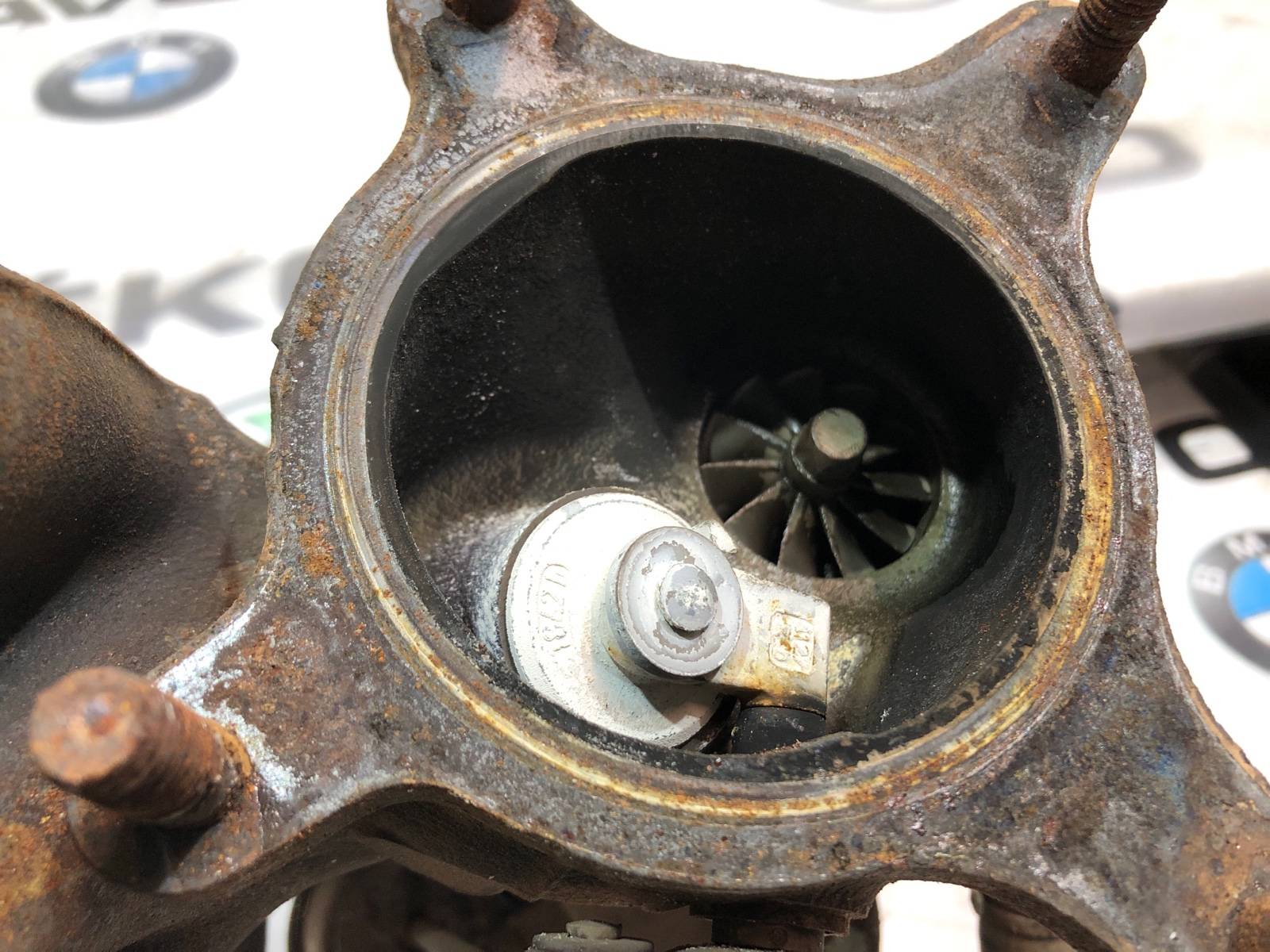 Турбина, 10000 рублей, Москва