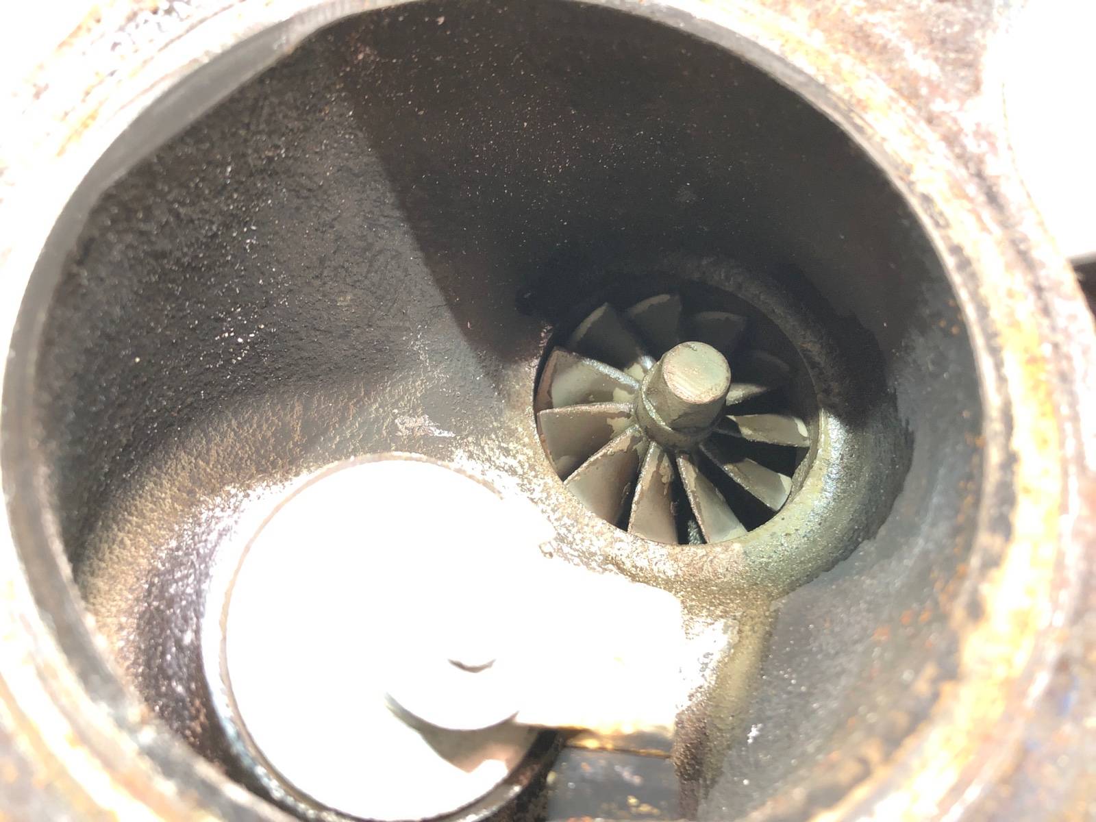 Турбина, 10000 рублей, Москва