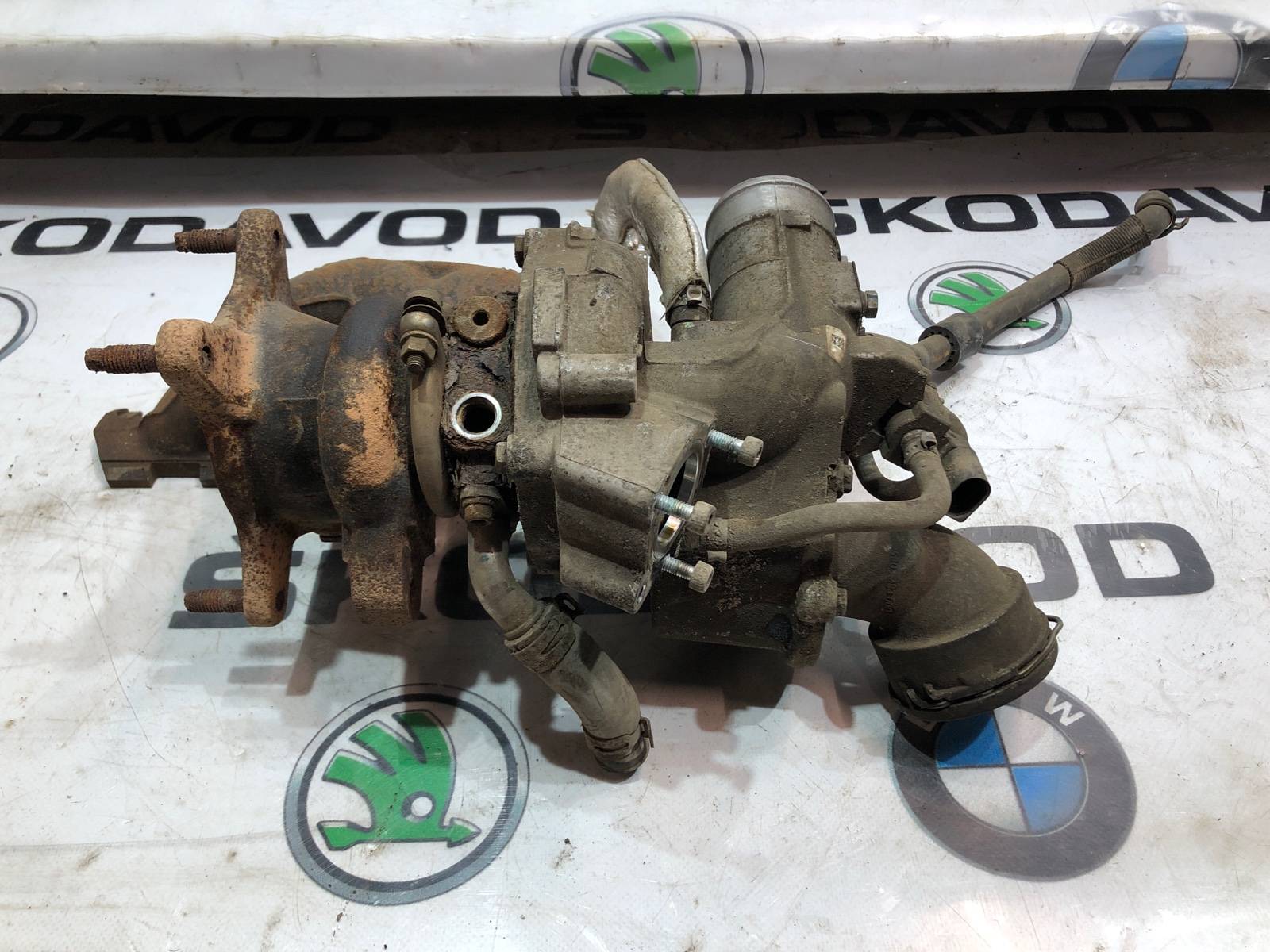 Турбина, 10000 рублей, Москва