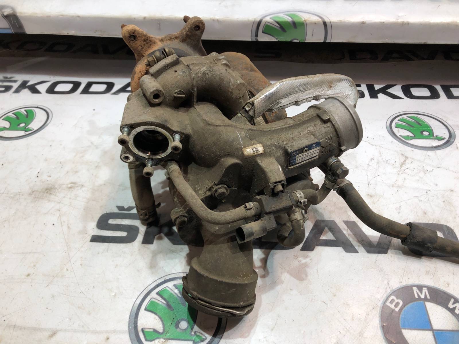 Турбина, 10000 рублей, Москва