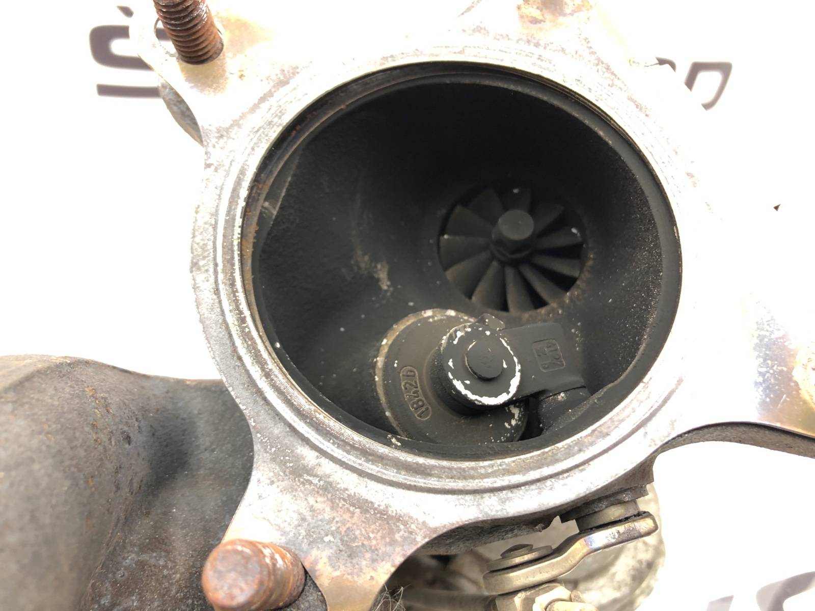 Турбина, 15000 рублей, Москва