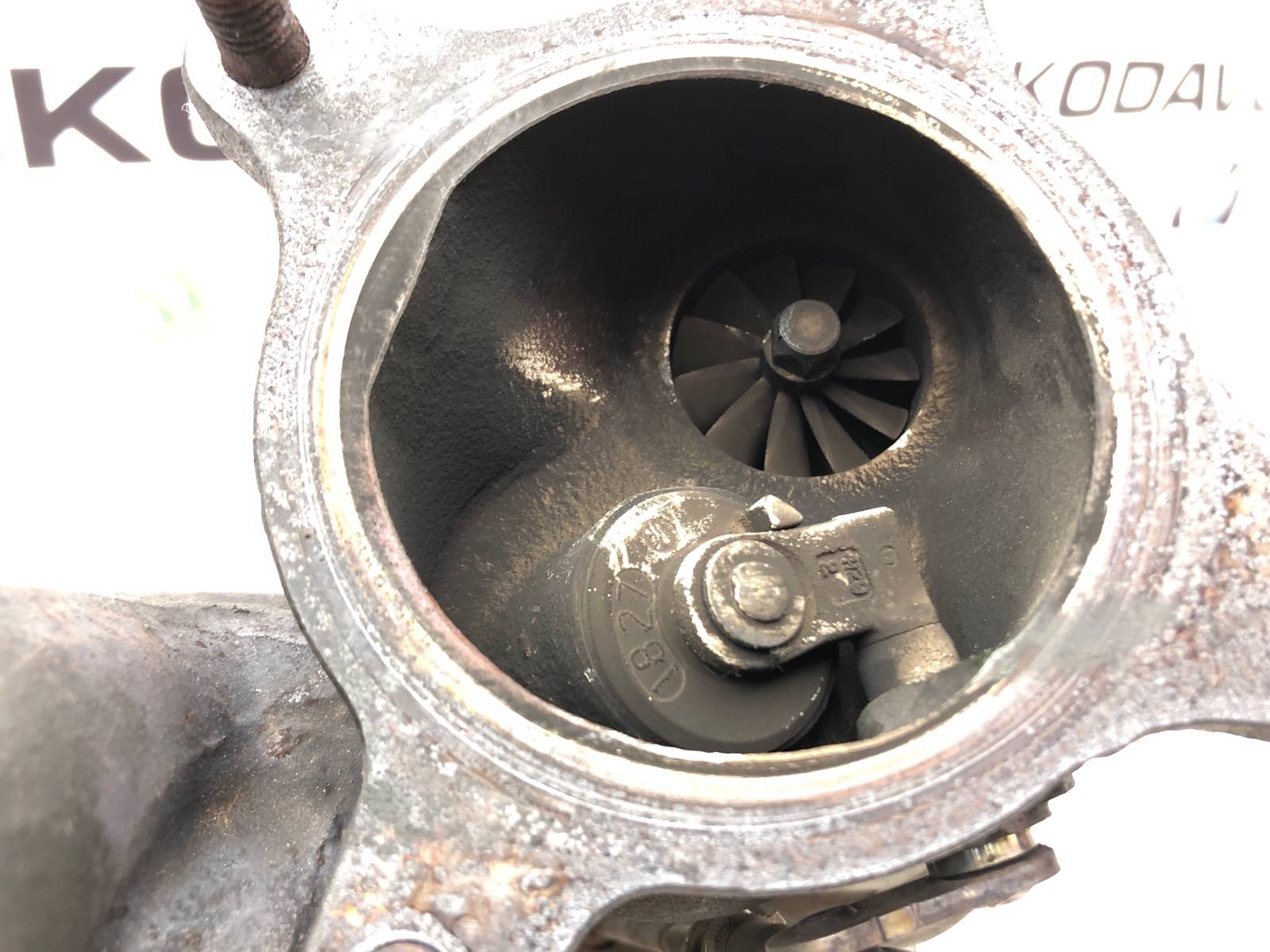 Турбина, 18000 рублей, Москва