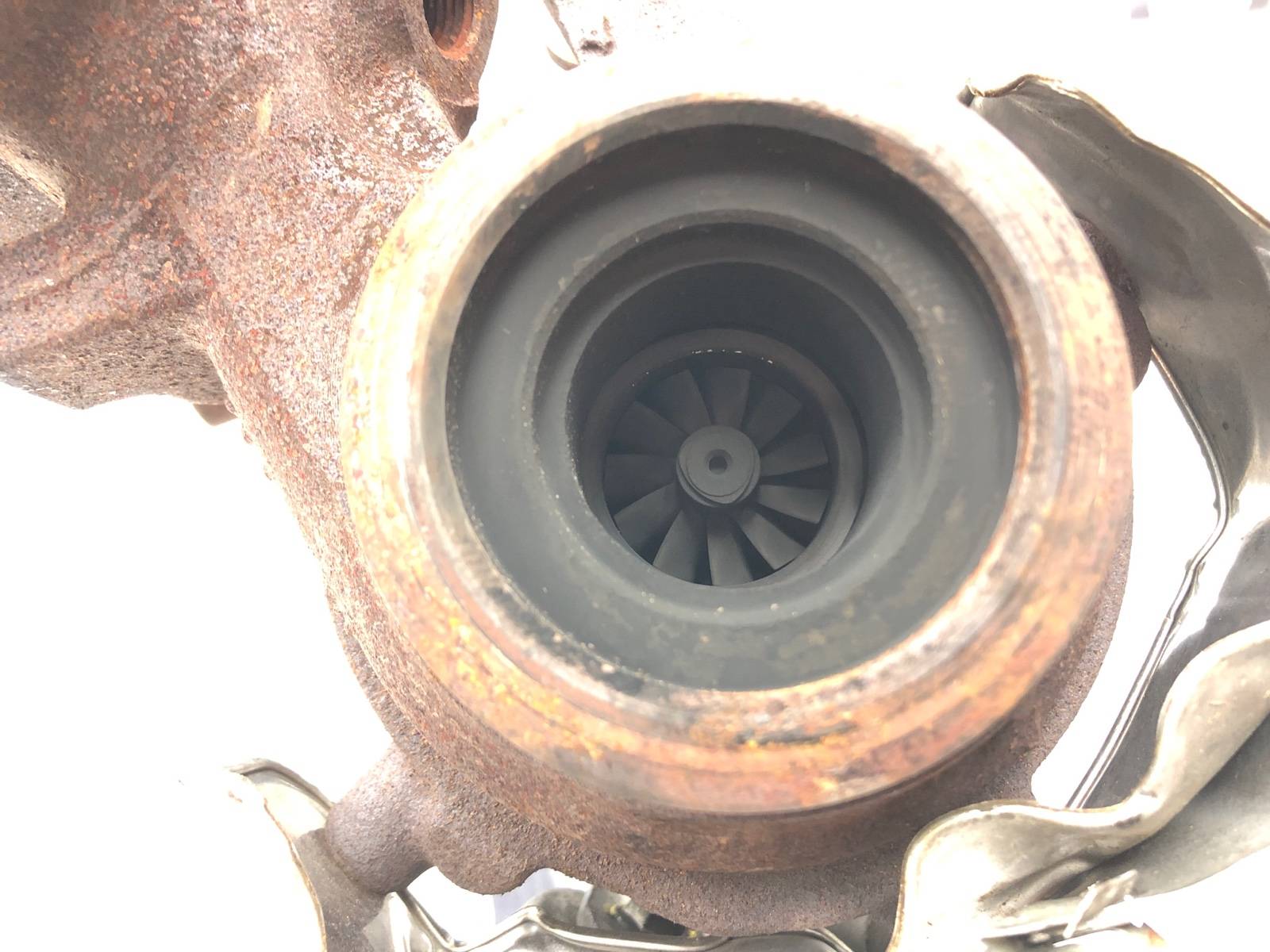 Турбина, 12000 рублей, Москва