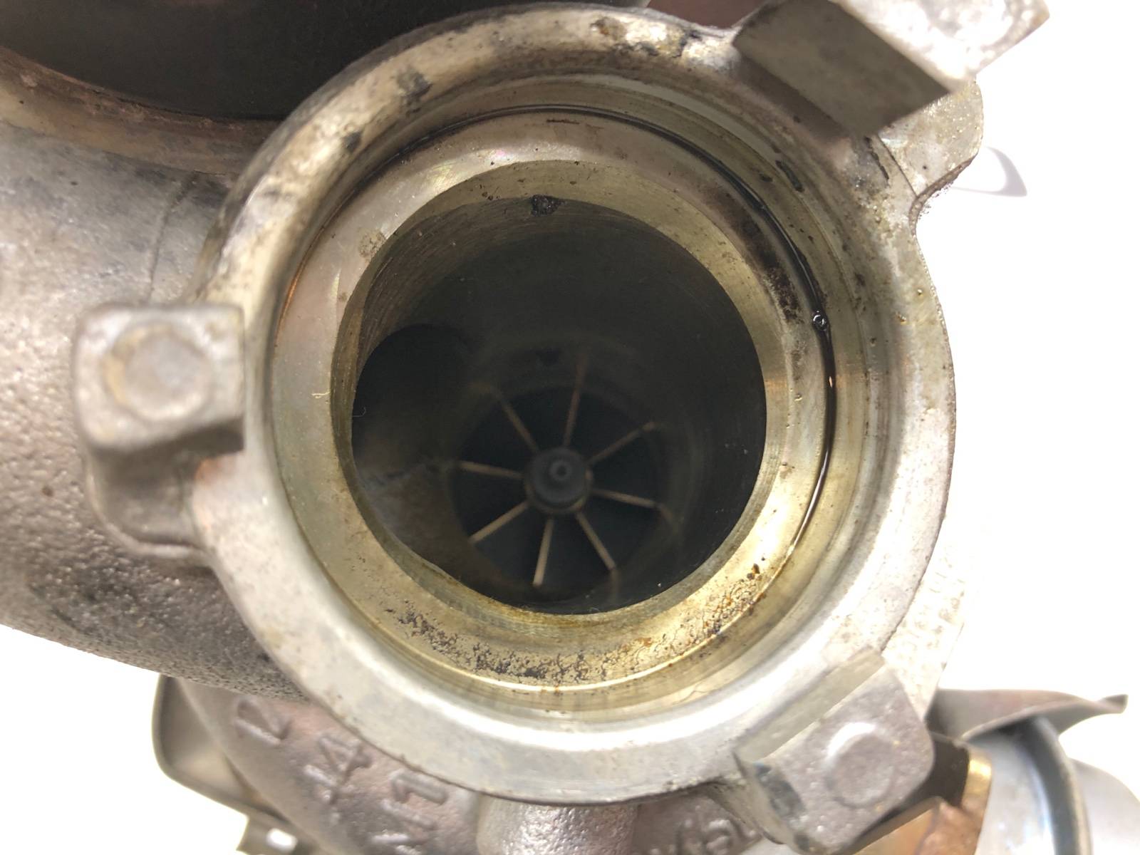 Турбина, 12000 рублей, Москва