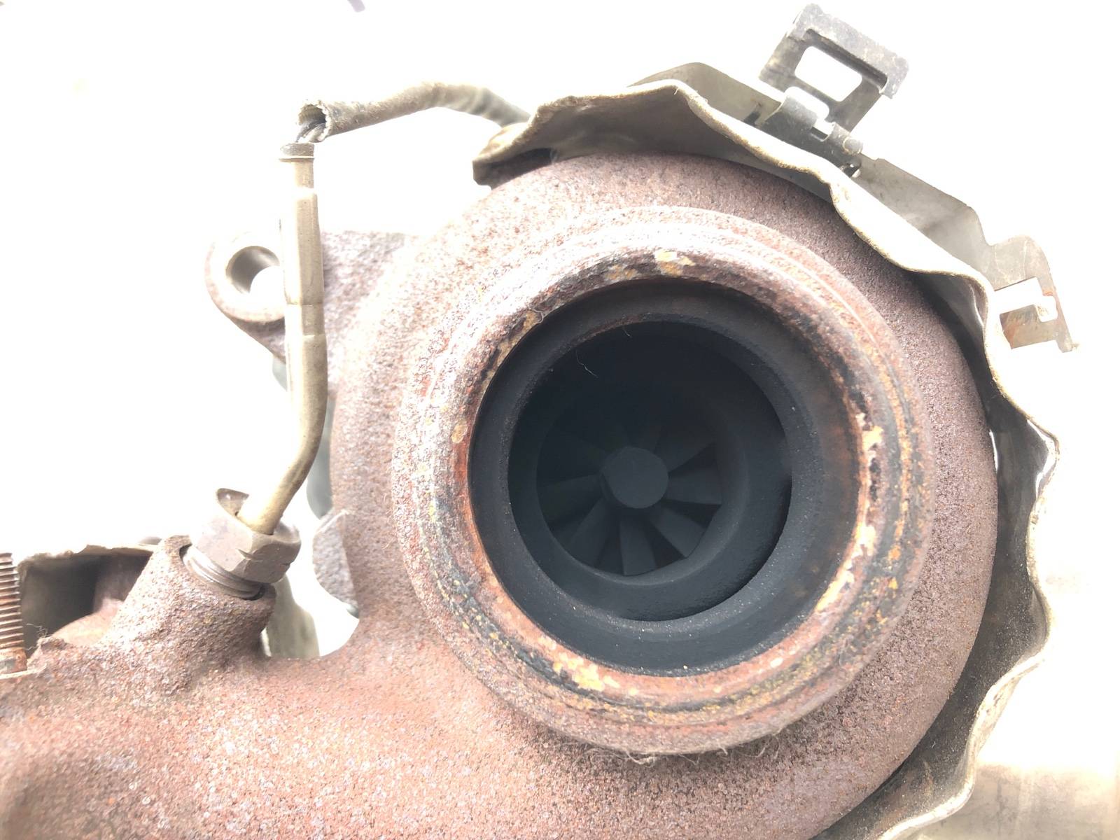 Турбина, 10500 рублей, Москва