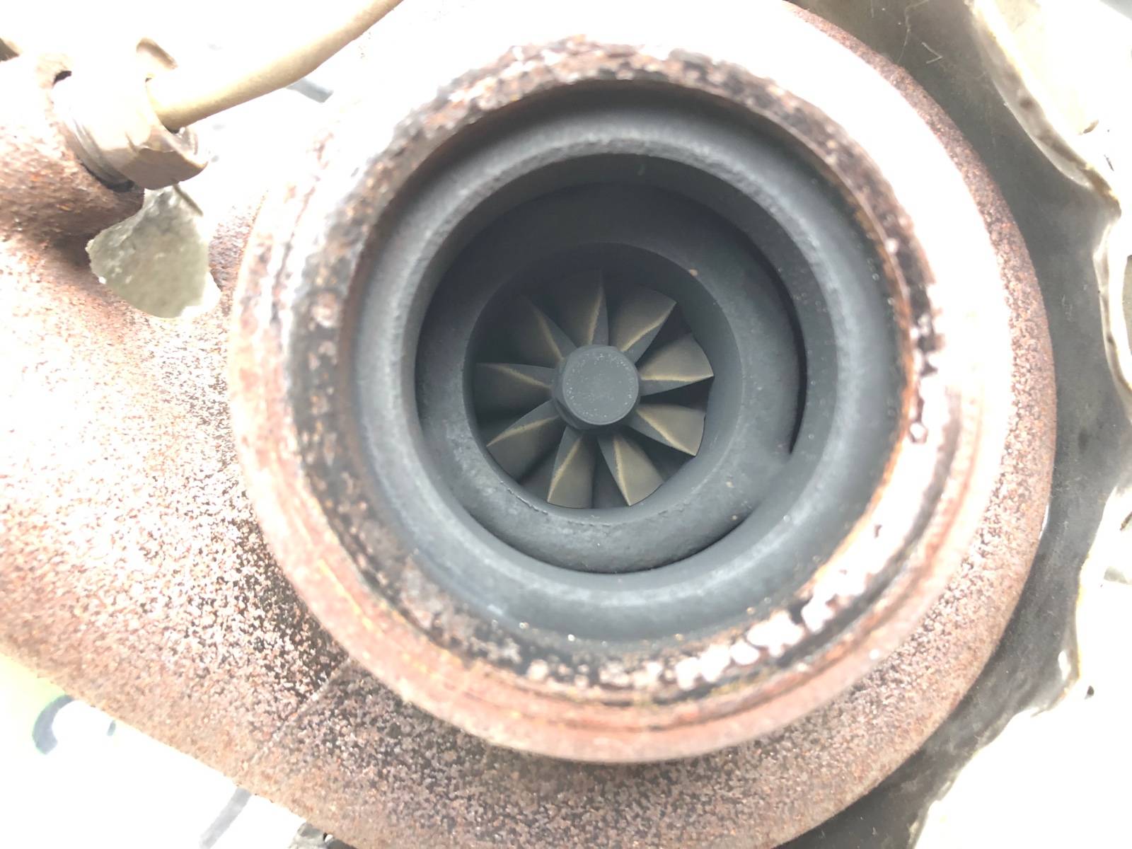 Турбина, 10500 рублей, Москва