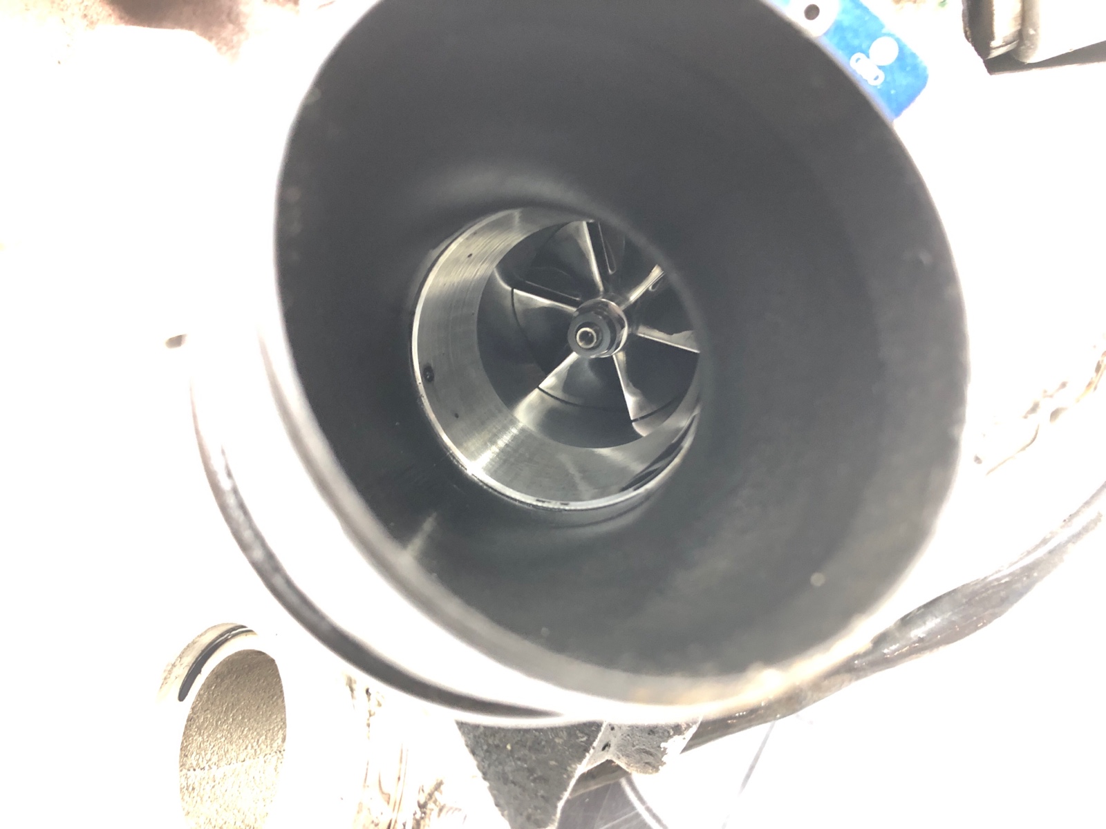 Турбина, 10500 рублей, Москва