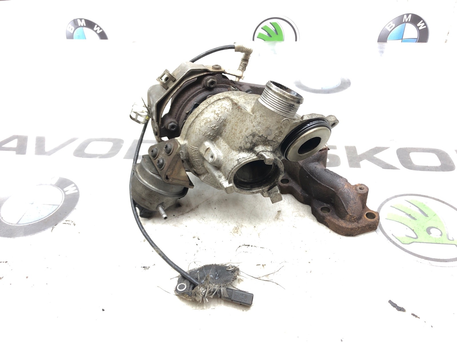 Турбина, 12000 рублей, Москва