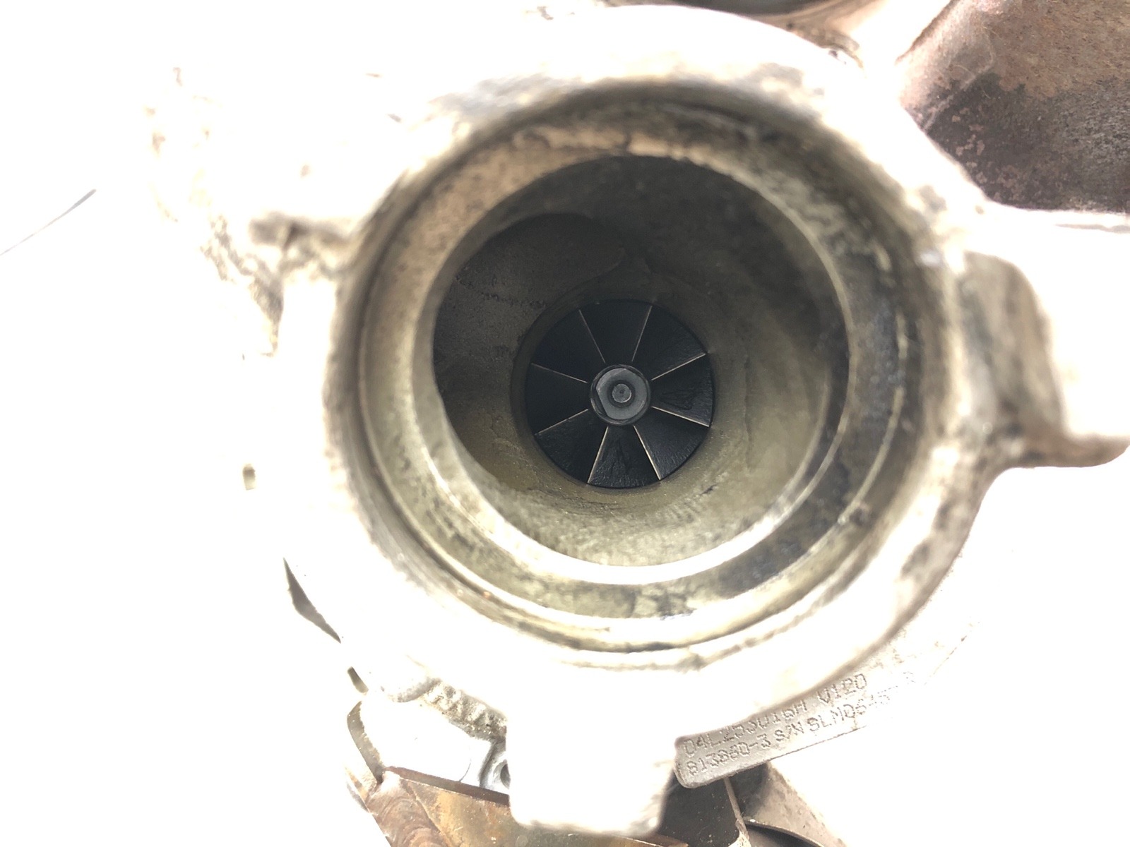 Турбина, 12000 рублей, Москва