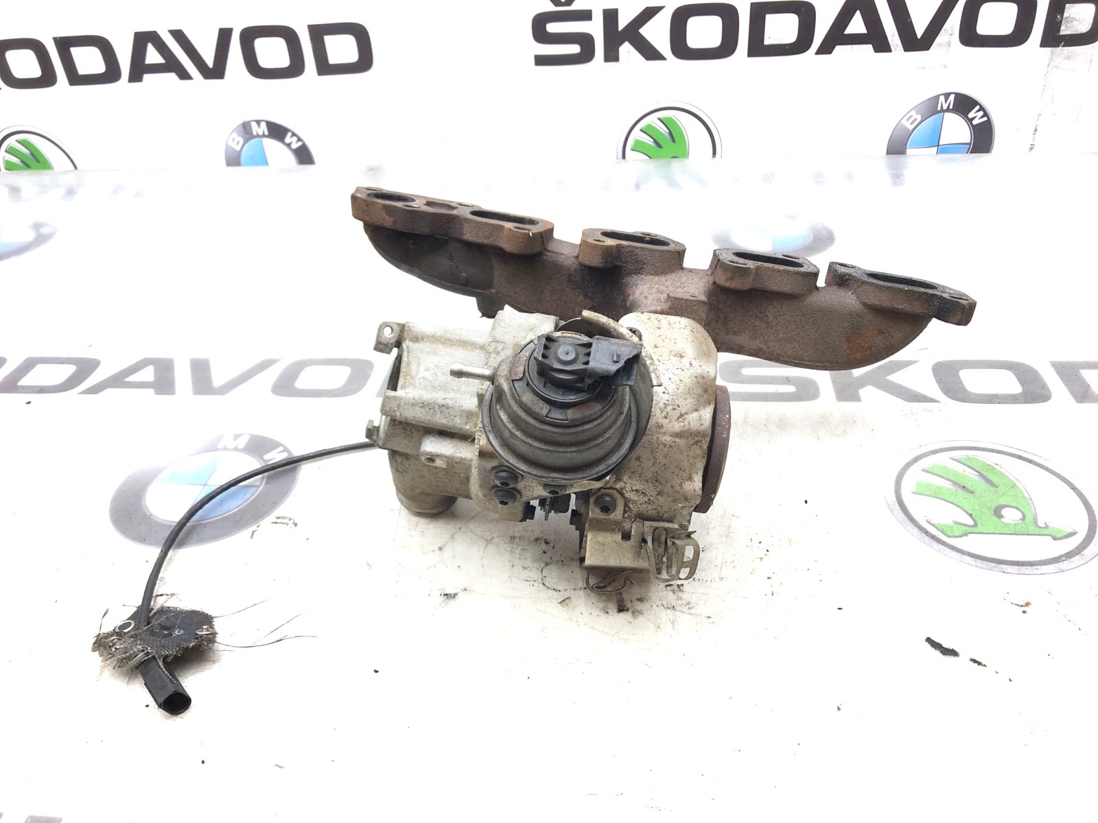 Турбина, 12000 рублей, Москва