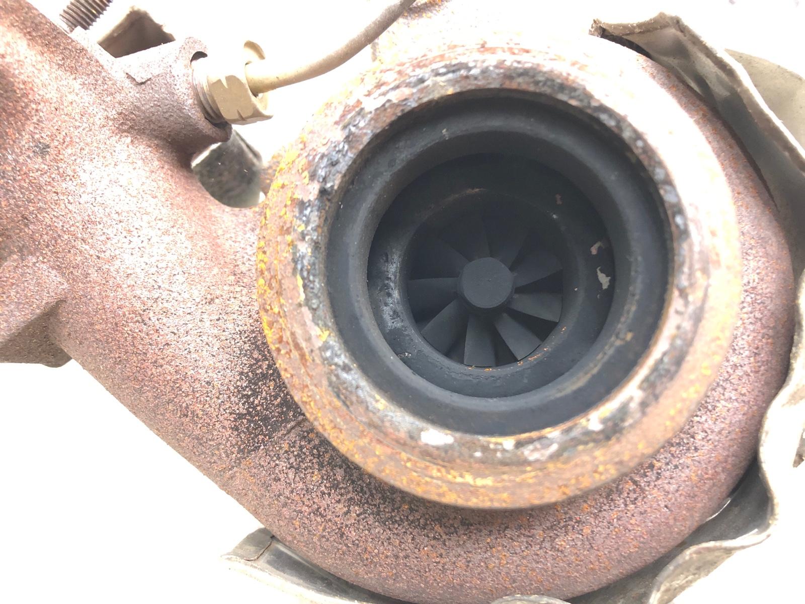 Турбина, 10500 рублей, Москва