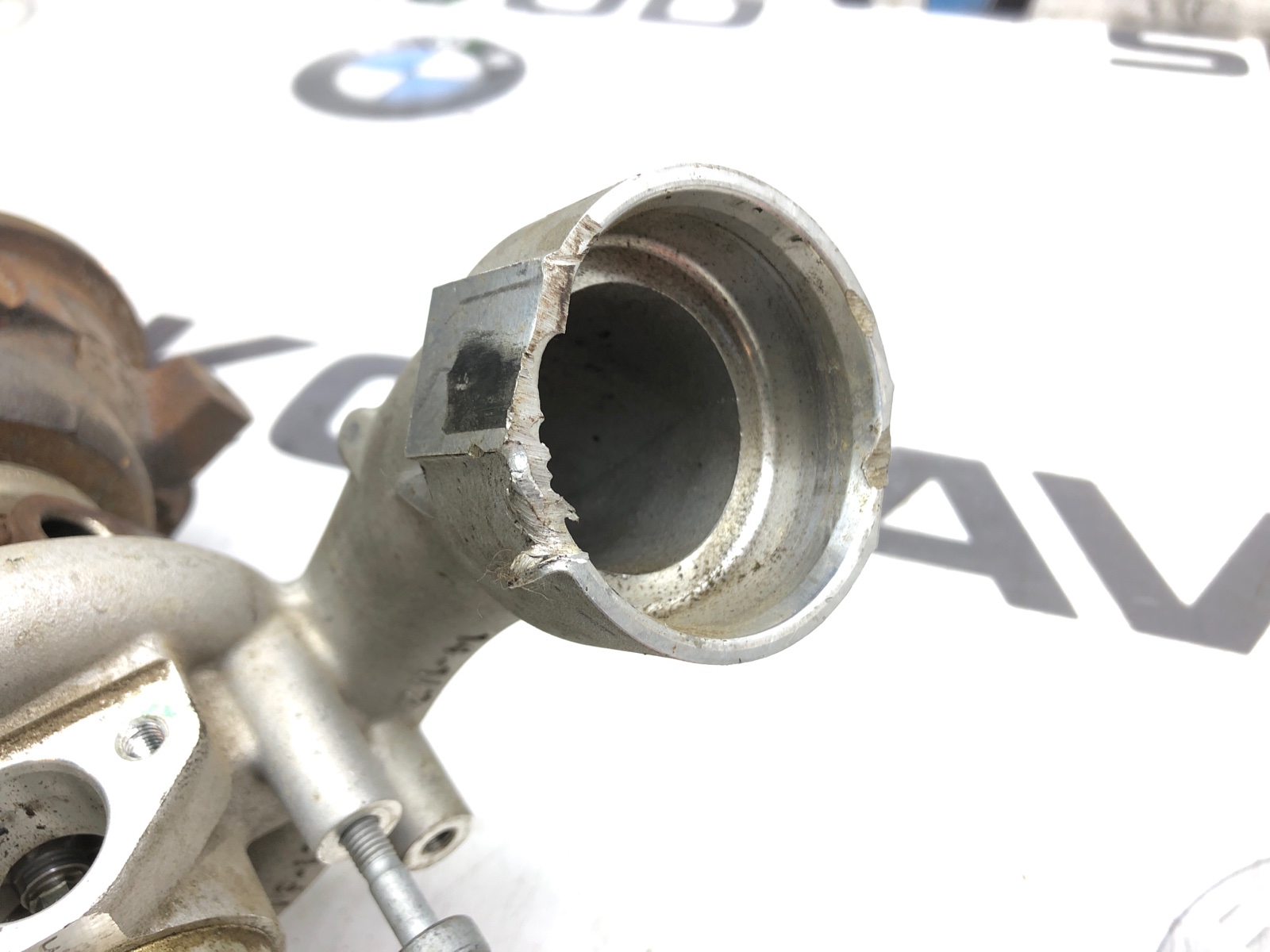 Турбина, 10000 рублей, Москва