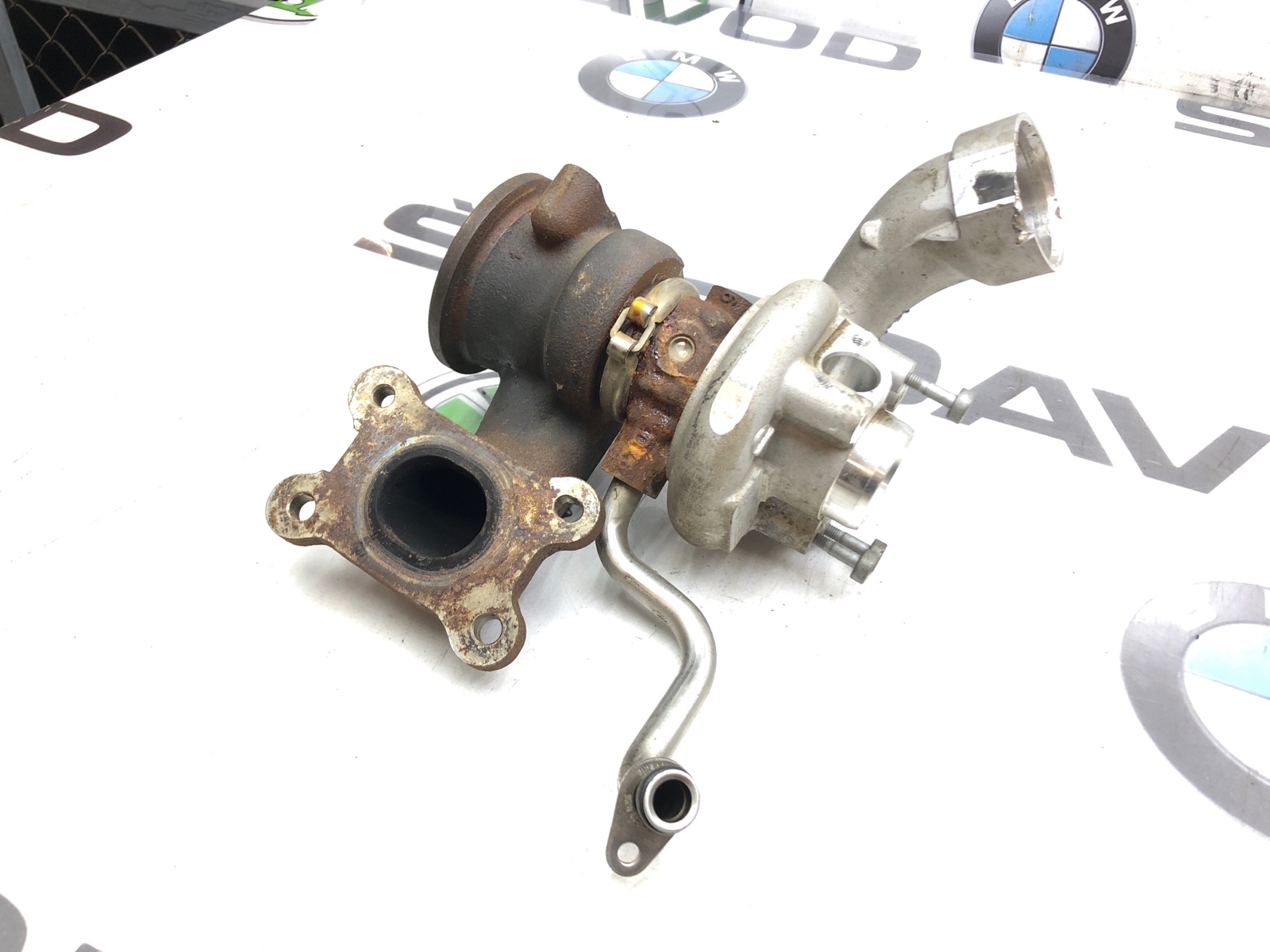 Турбина, 10000 рублей, Москва