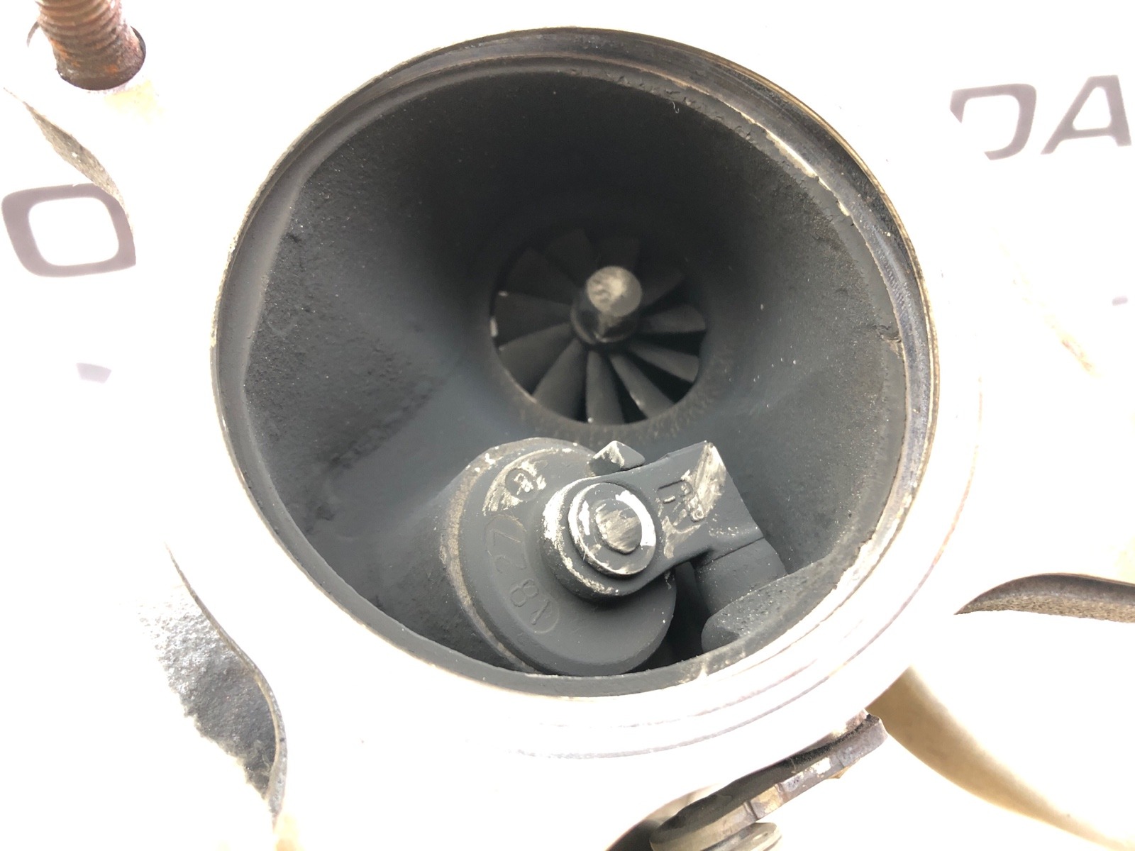 Турбина, 15000 рублей, Москва