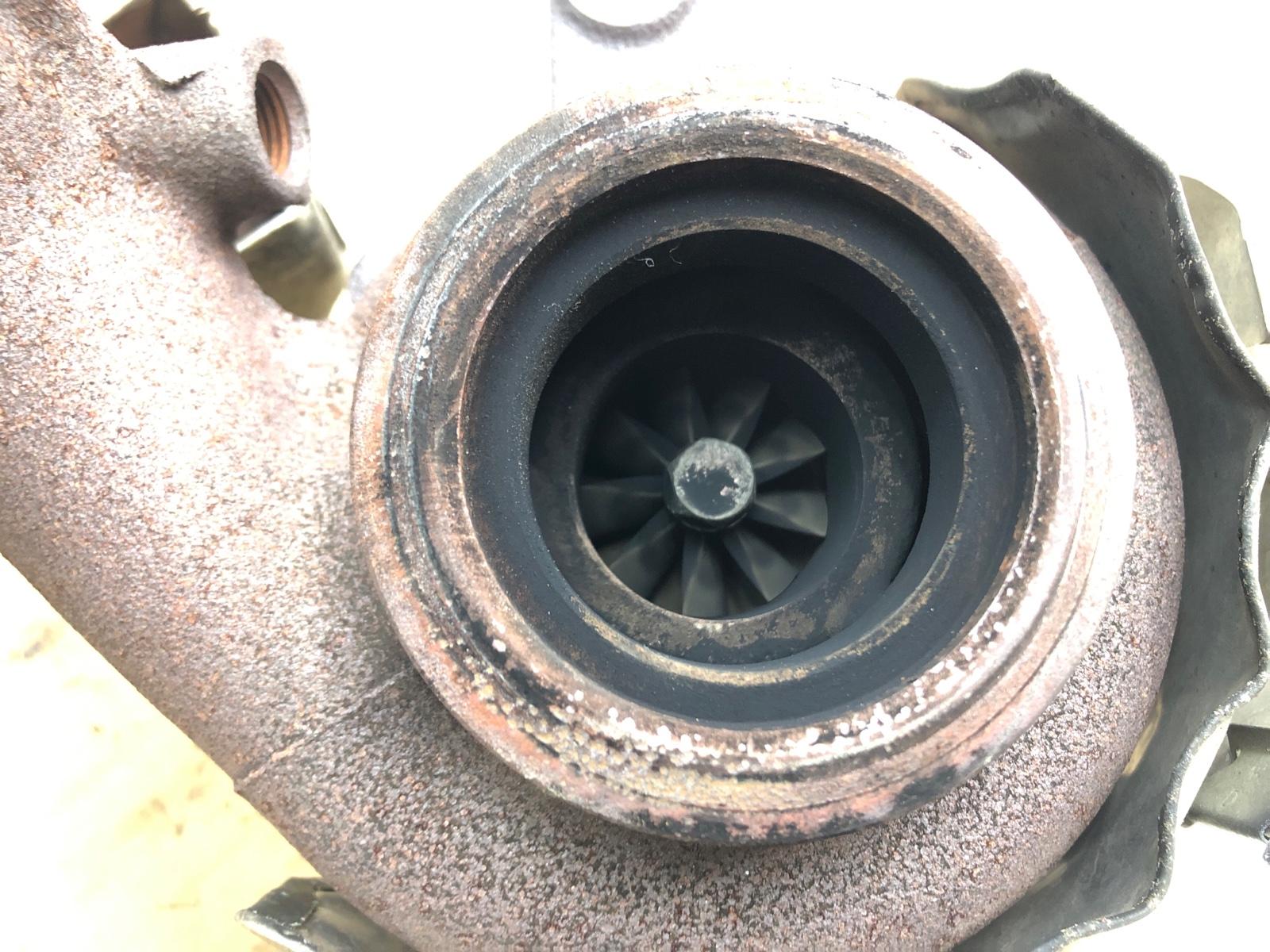 Турбина, 10500 рублей, Москва