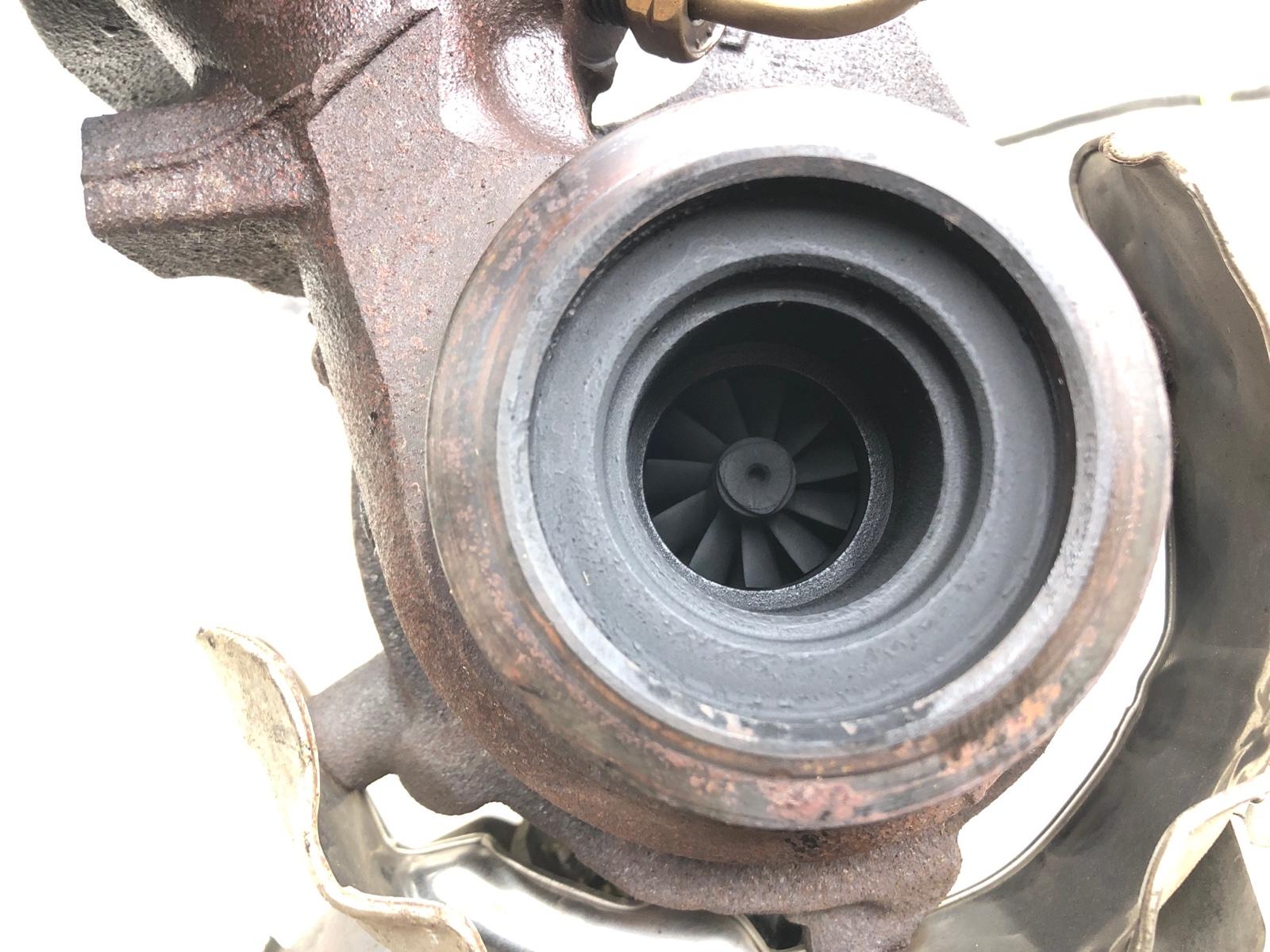 Турбина, 12000 рублей, Москва