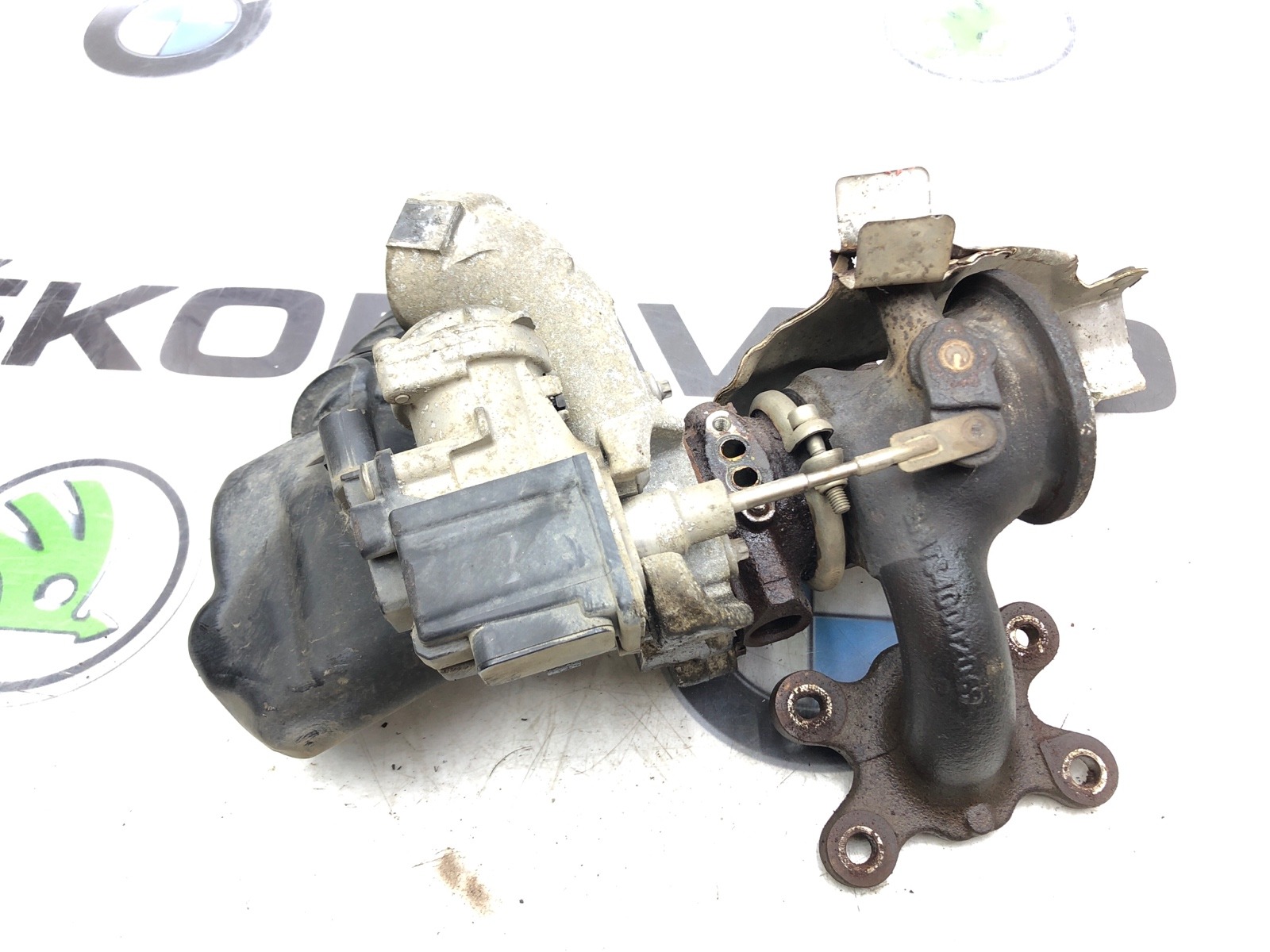 Турбина, 15000 рублей, Москва