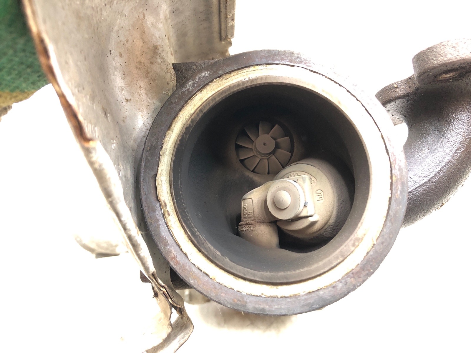 Турбина, 15000 рублей, Москва