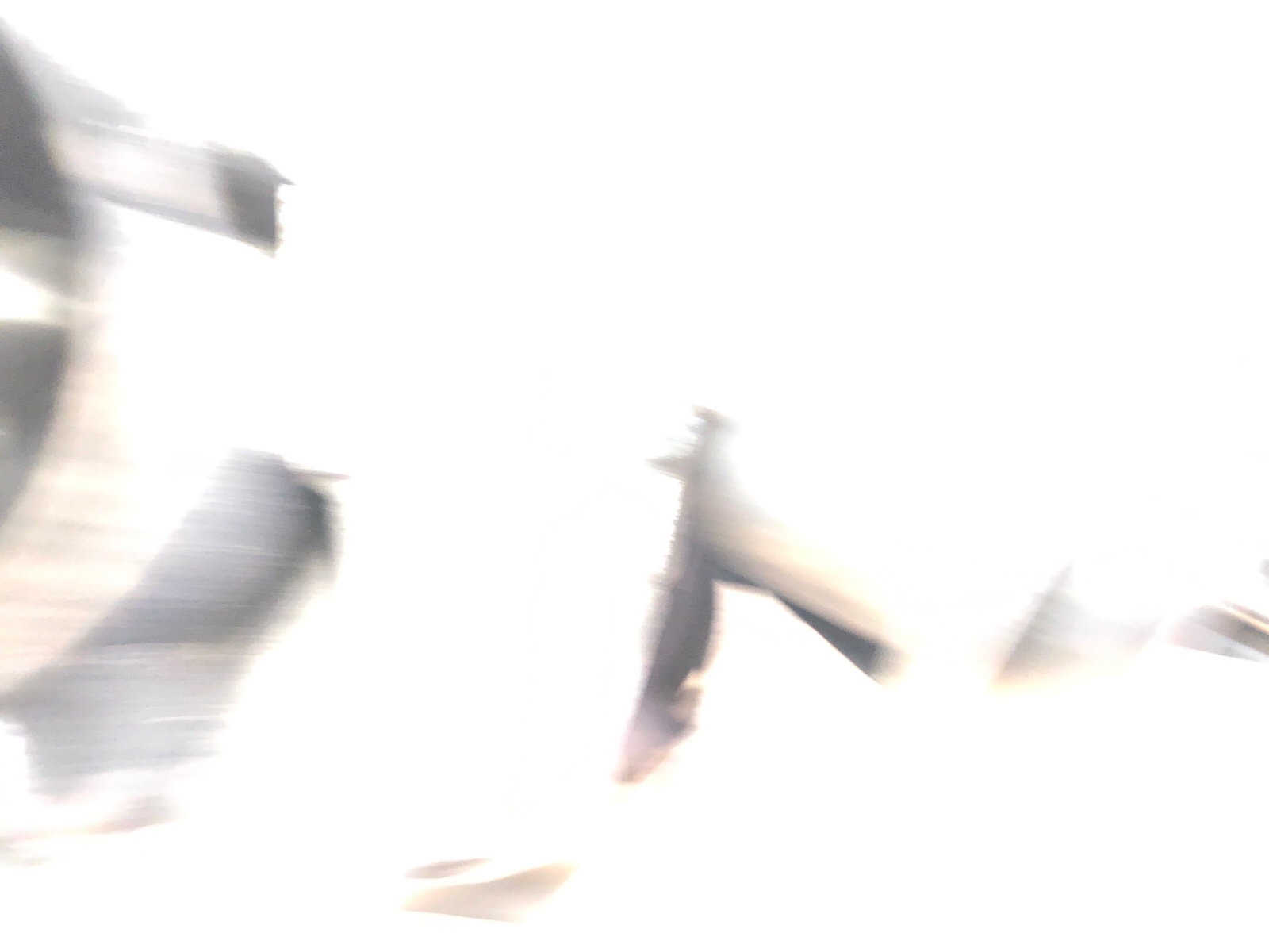 Турбина, 10000 рублей, Москва