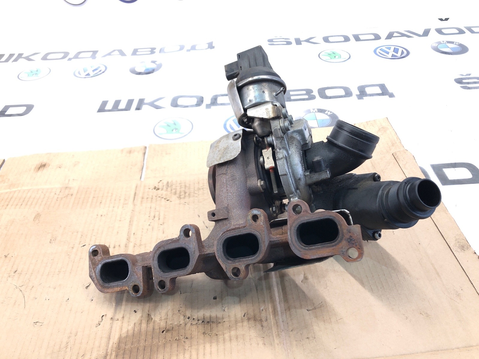 Турбина, 10000 рублей, Москва