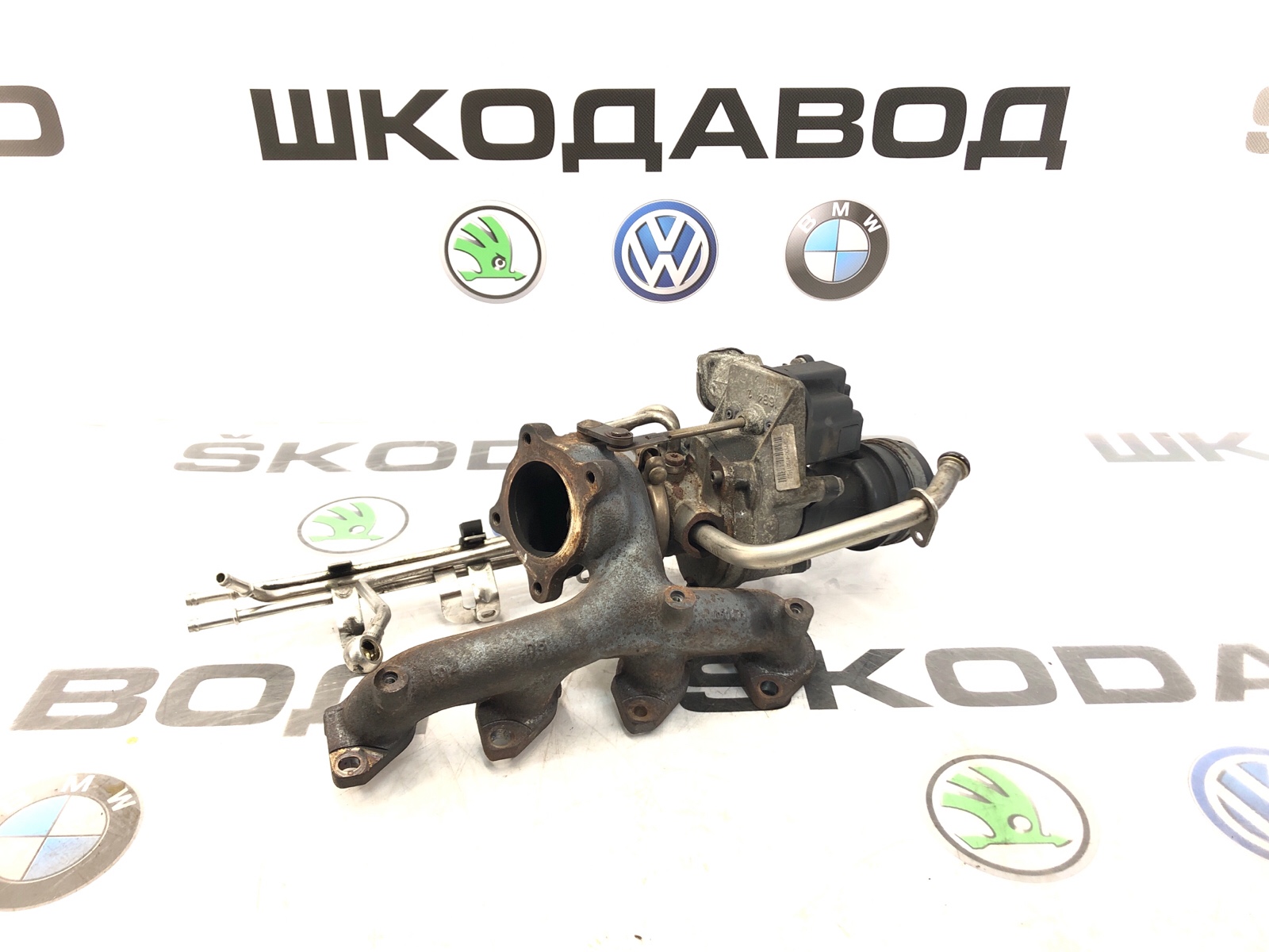 Турбина, 15000 рублей, Москва