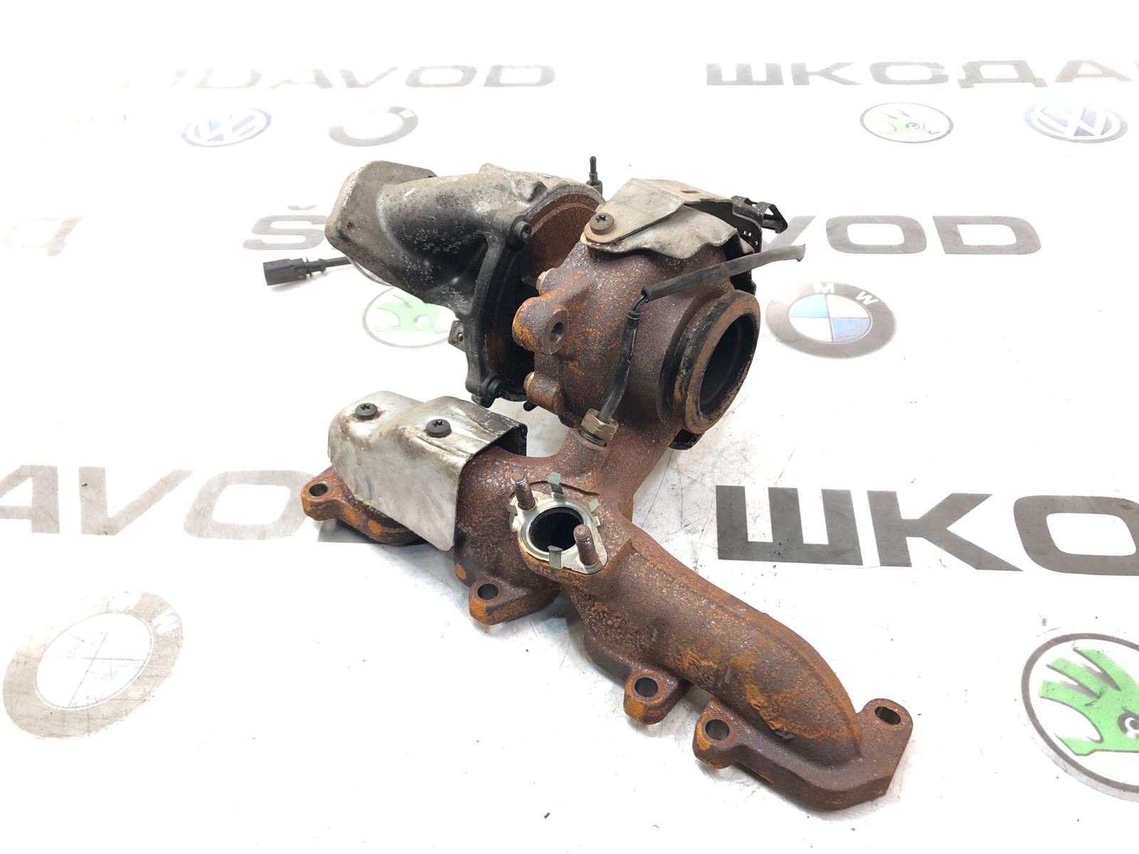 Турбина, 10000 рублей, Москва